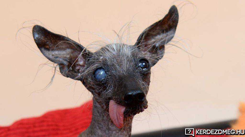 Nem állítom, hogy szép lenne :D