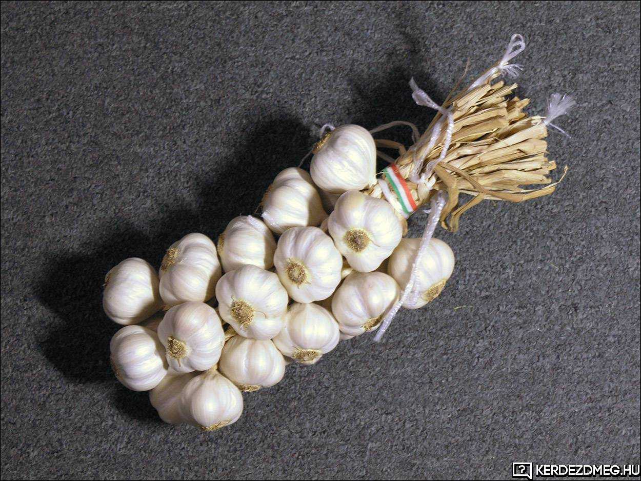 RE: Foghagyma vagy fokhagyma? Hogyan írjuk helyesen?