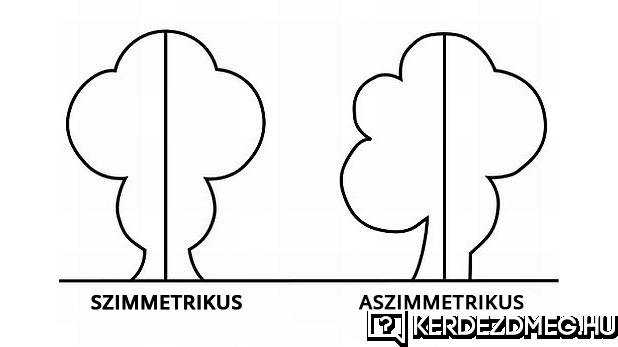 Egy szuper ábra, hogy mi a szimmetrikus és az aszimmetrikus.