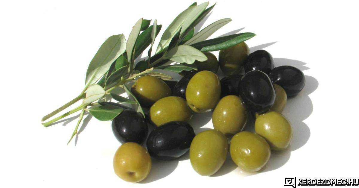 A mediterrán konyha nélkülözhetetlen eleme az olivabogyó.