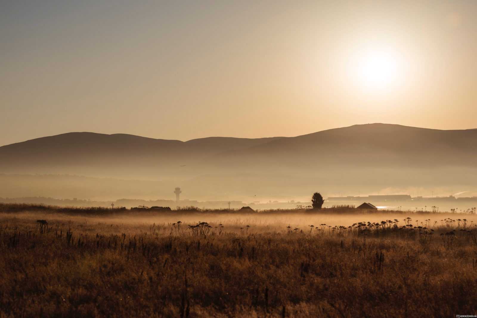 RE: Írtás vagy irtás? Hogyan írjuk helyesen?